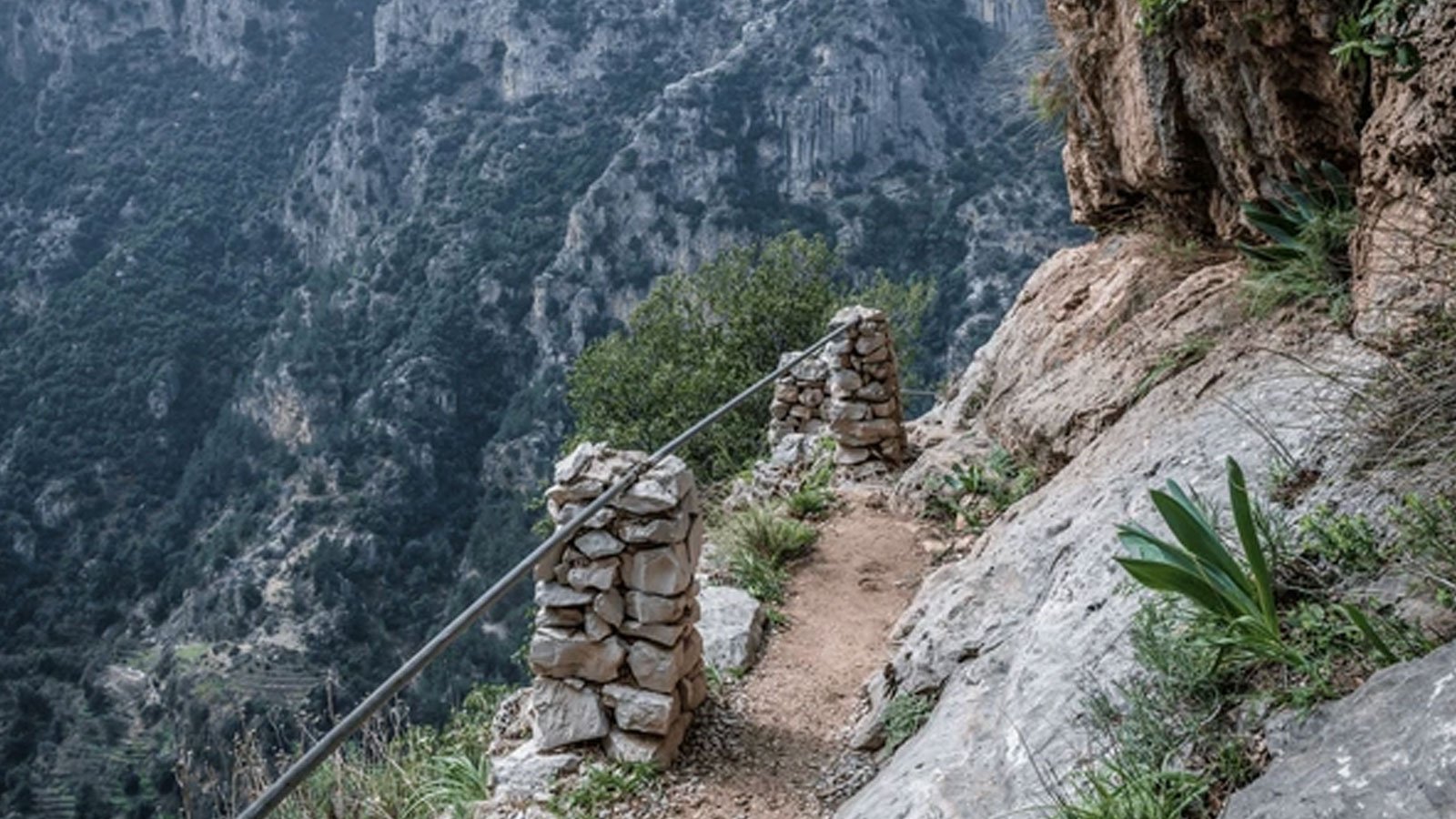 Mini Gartang Gali Trek – Half-Day Guided Adventure from Rishikesh